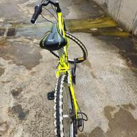 Mtb da ragazzo o ragazza