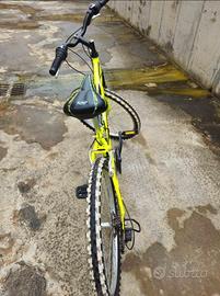Mtb da ragazzo o ragazza