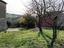 Immagine 9