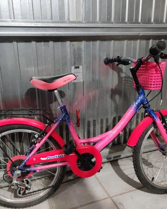 Bici da 24
