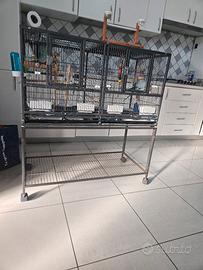 gabbia  per pappagalli