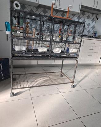 gabbia  per pappagalli