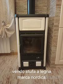 stufa a legna nordica
