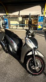 Sh 300 sport