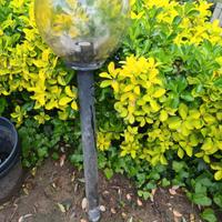 Lampioni da giardino