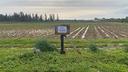 terreno-agricolo-a-500-metri-da-decimomannu