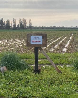 Terreno agricolo a 500 metri da Decimomannu