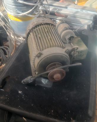 motore eletrico monofase 