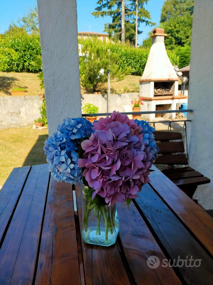 Apartment in Marliana, Alteto - Vista 4