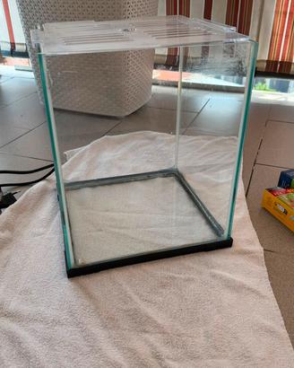 Acquario