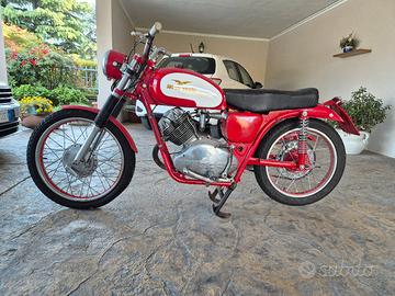 moto guzzi lodola regolarità 