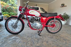 moto guzzi lodola regolarità 
