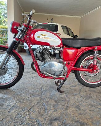 moto guzzi lodola regolarità 