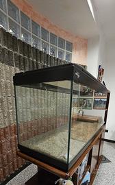 Acquario Koro.