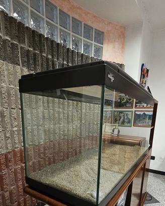 Acquario Koro.
