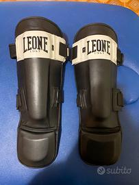Paratibie leone