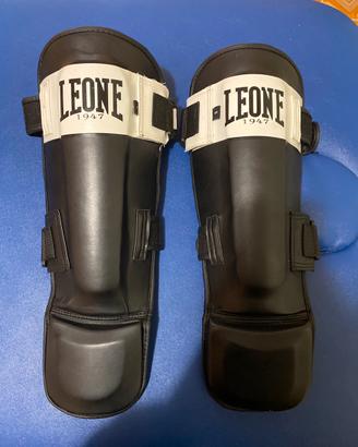 Paratibie leone