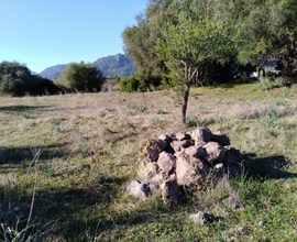 Terreno Agricolo a Santa Margherita