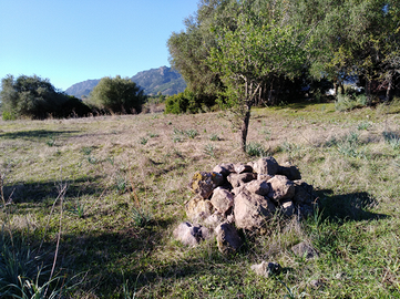 Terreno Agricolo a Santa Margherita