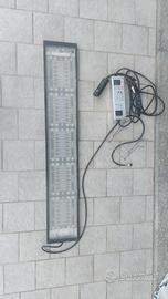 Lampada wrgb led acquario dolce