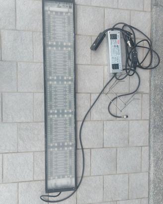 Lampada wrgb led acquario dolce