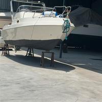 cabinato motore fuoribordo 4 tempi yamaha 115cv