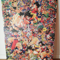 Poster su compensato di Dragonball
