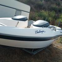 Sea Doo Challenger 1800 Mercury