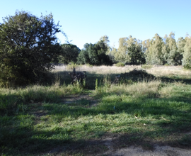 Terreno agricolo - zona Matalacana, Siniscola (NU)