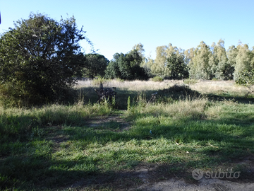 Terreno agricolo - zona Matalacana, Siniscola (NU)