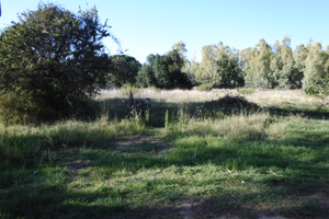 Terreno agricolo - zona Matalacana, Siniscola (NU)