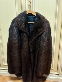 Pelliccia di castoro