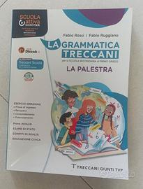 Grammatica Treccani Palestra - Libro Gram. medie