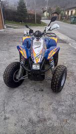 Quad Polaris Trailblazzer 330