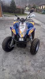 Quad Polaris Trailblazzer 330