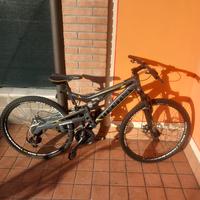 mtb MOMA