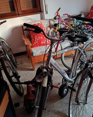 varie biciclette 