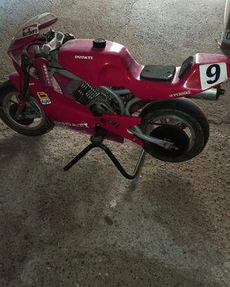 Minimoto da corsa
