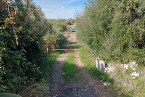 Motta  Sant'anastasia terreno agricolo con 80 albe