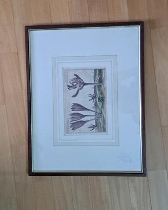 Quadro