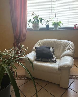 poltrona bianca di pelle