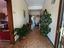 Immagine 21