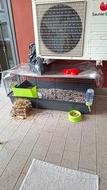 gabbia per coniglio nano 