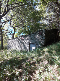 Vendita rustico a Prati di Bioggio