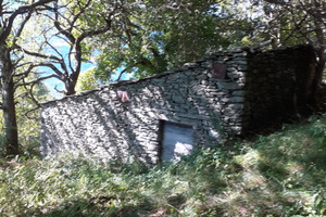 Vendita rustico a Prati di Bioggio