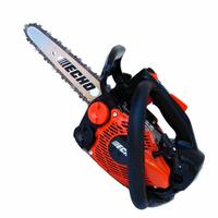 Echo CS 2511 TES + OMAGGIO catena titanio