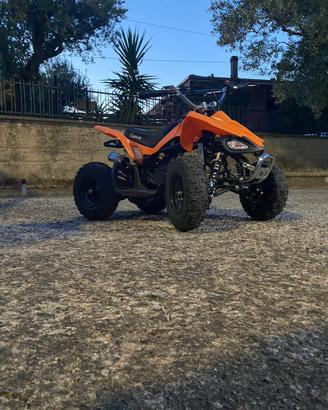 Quad 49cc 2t