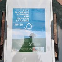 Cornici a giorno 