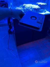 Maxspect Jump MJL-165 Blue