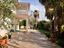 Immagine 5